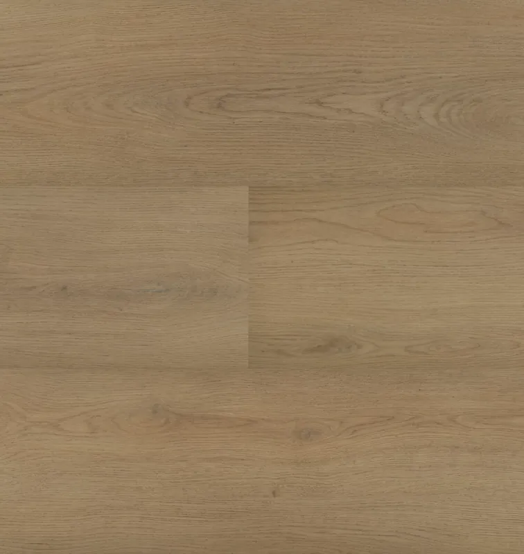 Goedkoop Hebeta Chablis 55856 Plank XL Click