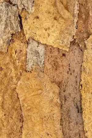 Floer Akukurk Wandpanelen Zandsteen Natuur Veilige Betaling