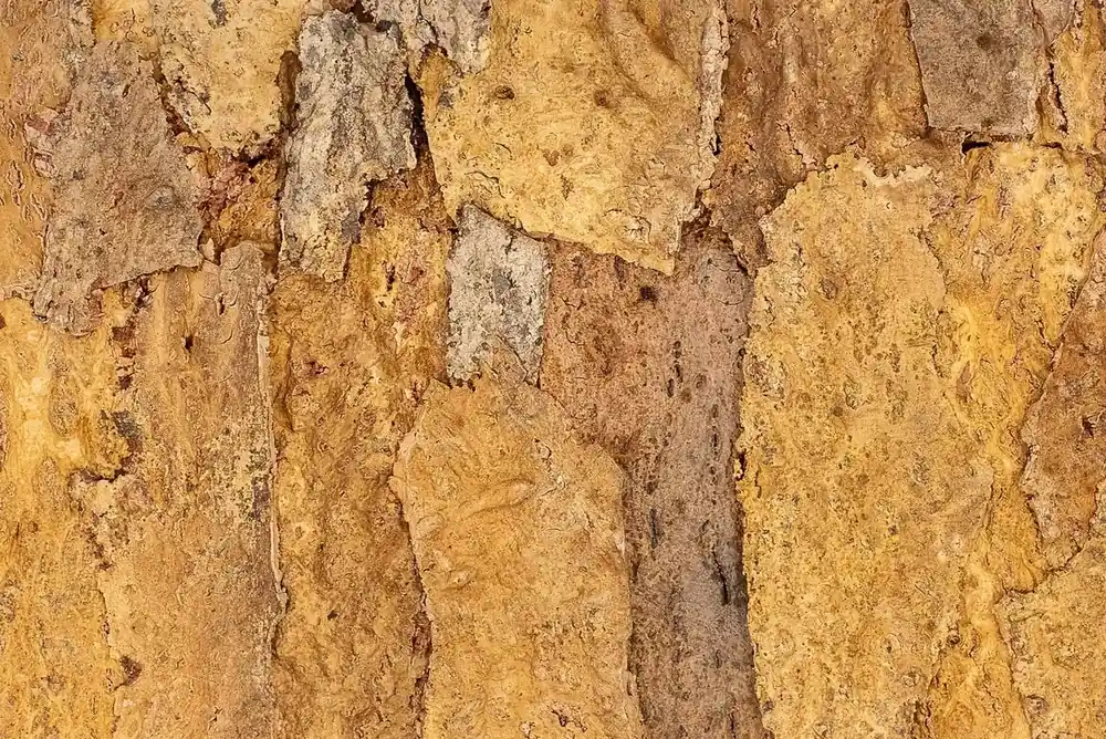 Floer Akukurk Wandpanelen Zandsteen Natuur Veilige Betaling