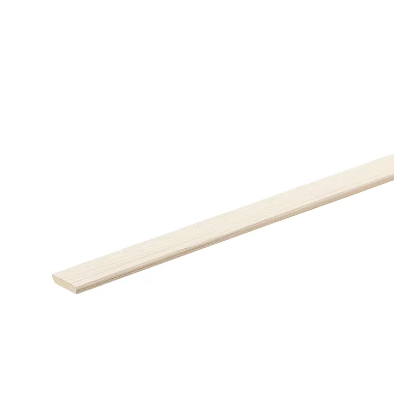 Favoriet Co-pro plakplint essen 8437