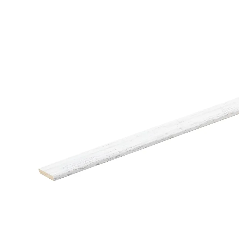 Co-pro plakplint den wit 9918 Veilige Betaling