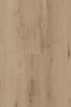 Bestseller Coretec Authentics Nimbus Plank Click