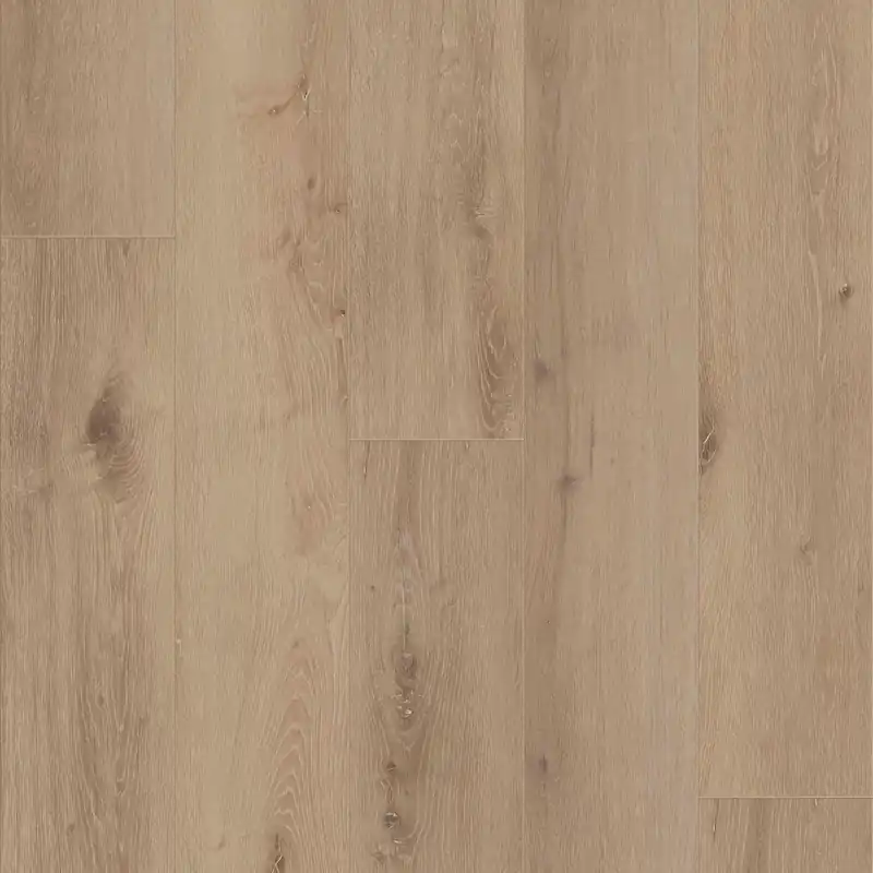 Bestseller Coretec Authentics Nimbus Plank Click