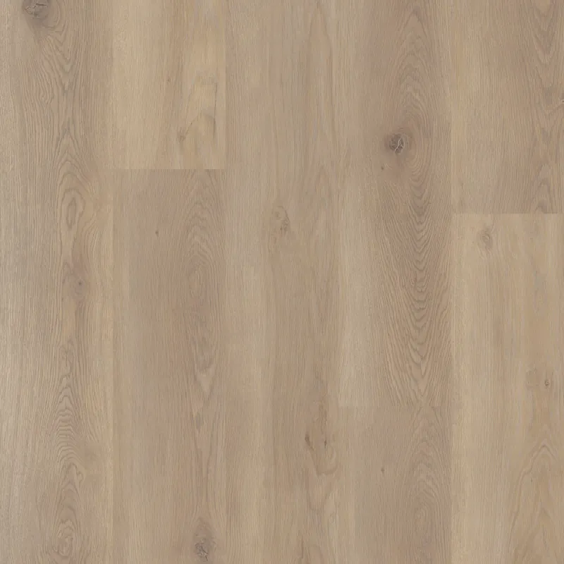 Coretec Flexile Meadow Plank Dryback Favoriet