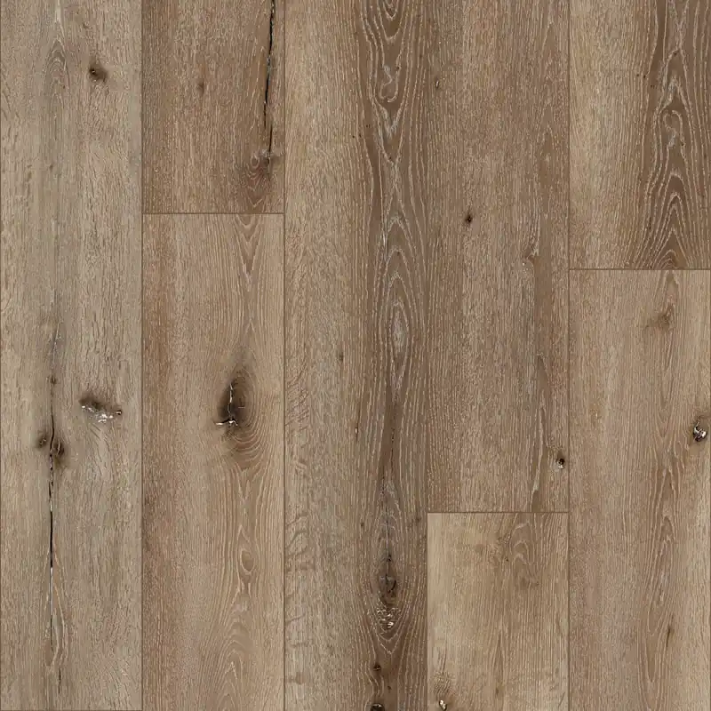 Coretec Flexile Acorn Plank Dryback Favoriet