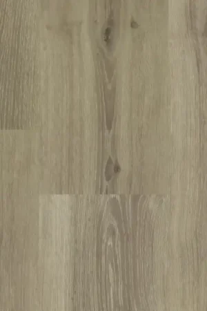Hebeta Chamonix 54813 Plank XL Dryback Nieuw