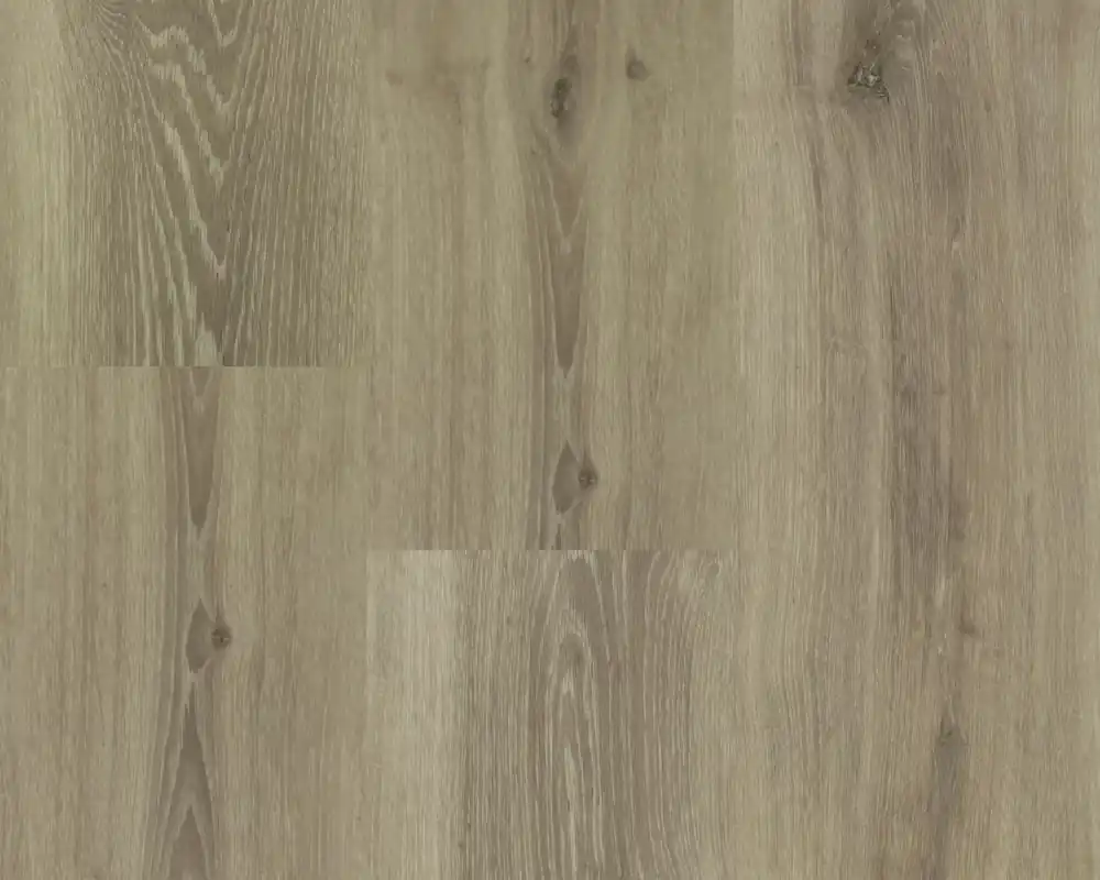 Hebeta Chamonix 54813 Plank XL Dryback Nieuw