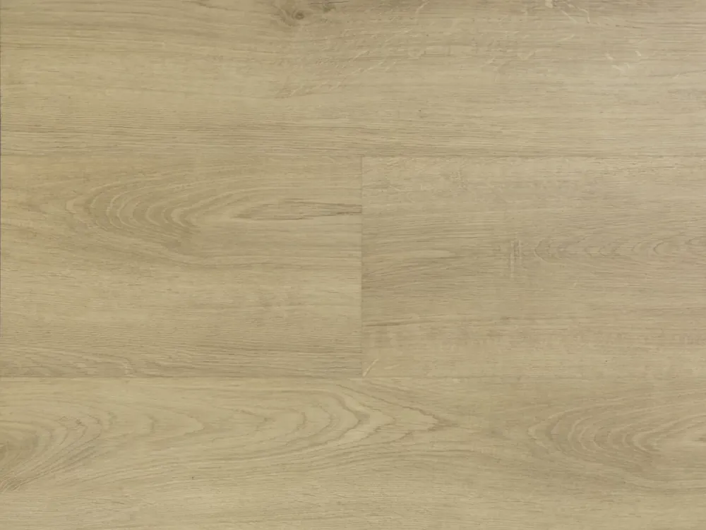 Actieprijs Hebeta Clermont 54820 Plank XL Dryback