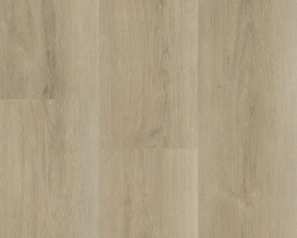 Nieuw Hebeta Charente 5447 Plank XL Dryback