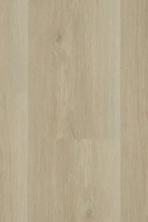 Hebeta Charente 5460 Plank XL Dryback Goedkoop
