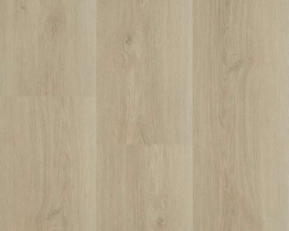 Hebeta Charente 5460 Plank XL Dryback Goedkoop