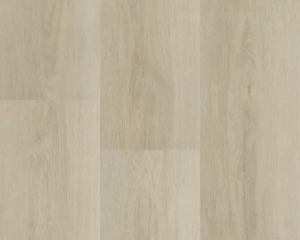 Koopje Hebeta Charente 5446 Plank XL Dryback