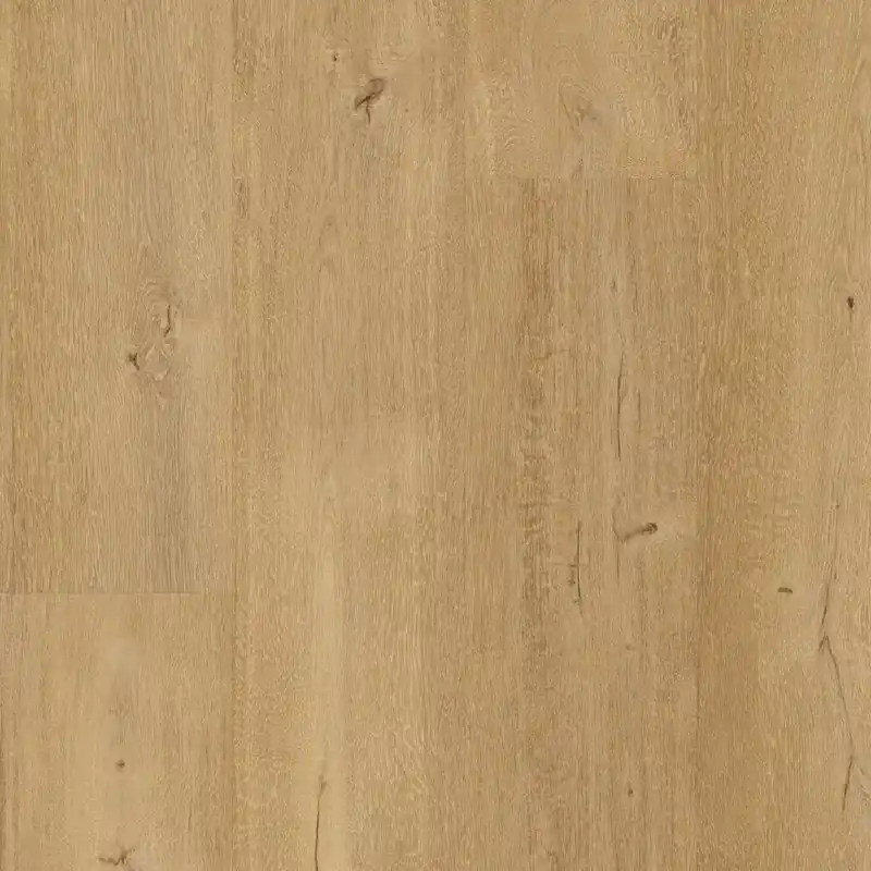 Floorify Frangipane Plank XL Click Koop Vandaag