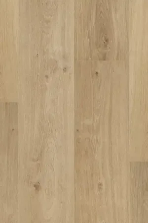 Koop Online Floorify Cider Plank XL Click