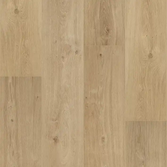 Koop Online Floorify Cider Plank XL Click