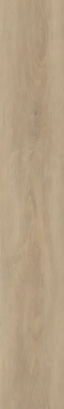 Flitsaanbieding Invictus Divine Oak Champagne Plank XL Dryback
