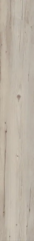 Direct Verzonden Invictus Norwegian Wood Arctic Plank Click
