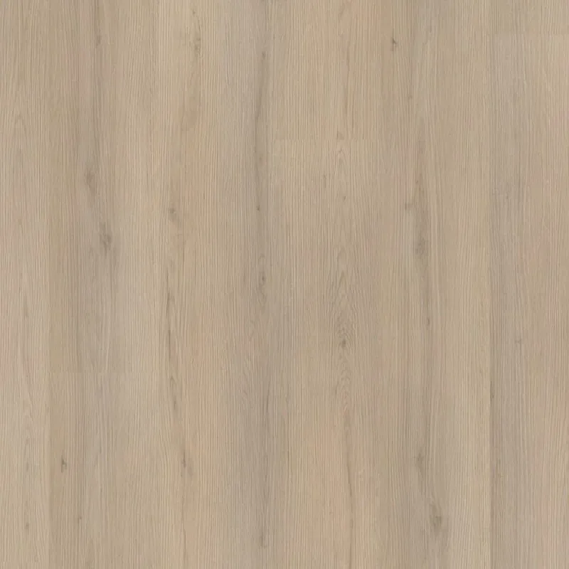 Snelle Levering Floorlife Barnet beige Plank Click