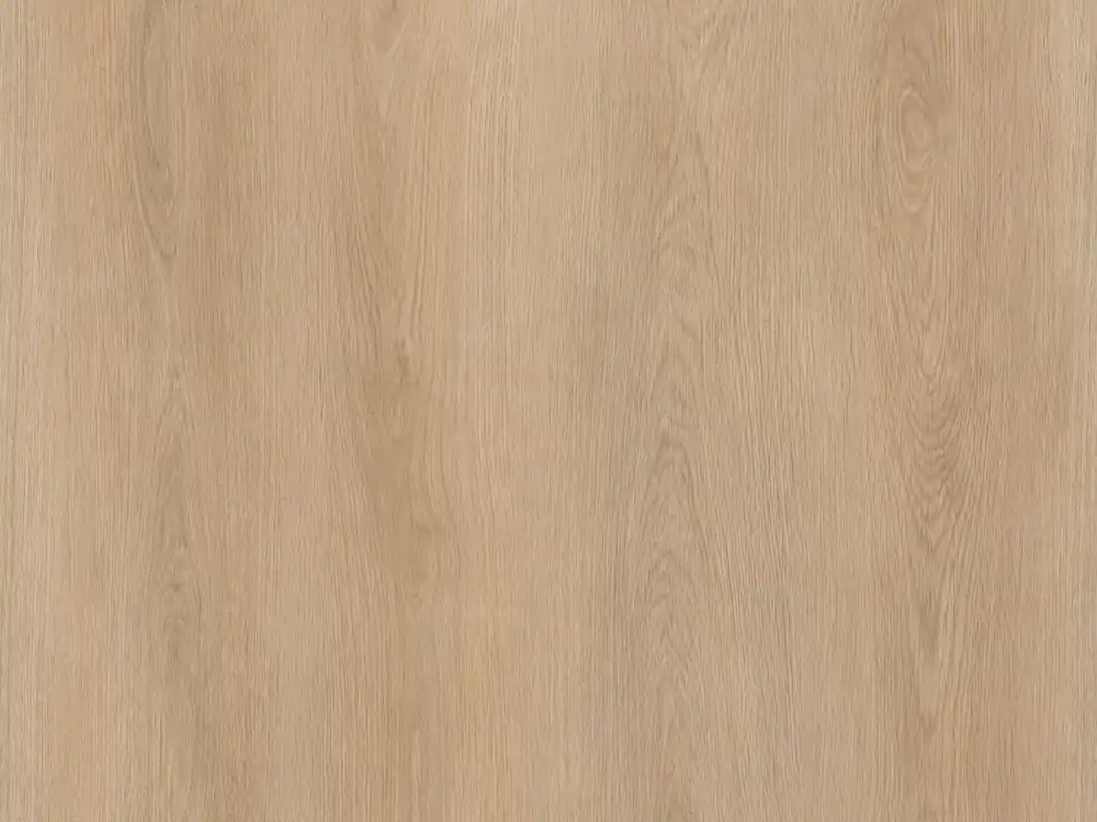 Calitex Desert Oak Plank XL Dryback Must-Have