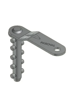 PASCHAL 5-STIFT SLEUTEL Favoriet