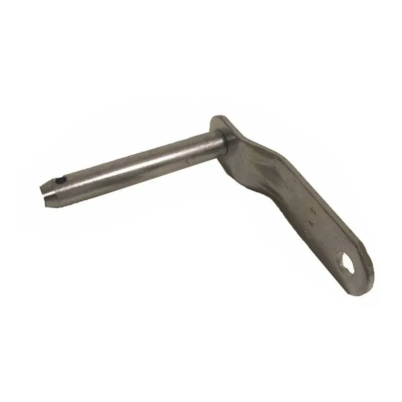 Gereduceerde Prijs Paschal BORGPEN VOOR KRAANHAAK 110mm