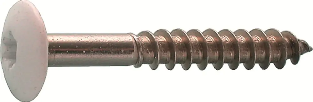 Koop Vandaag Kelfort SNELMONTAGESCHROEF RAL 9010 4.8X32 VOOR TRESPA