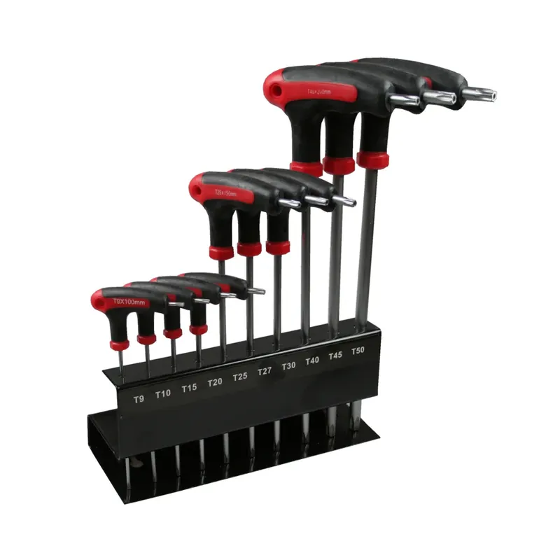 Hofftech Torx Set in Handige Standaard Koop Online