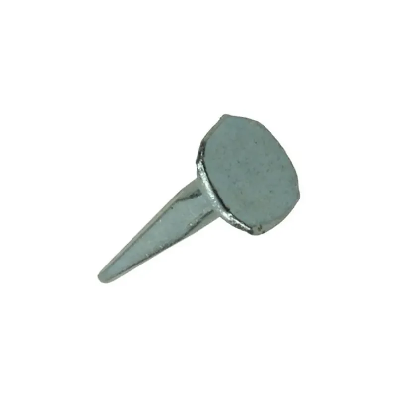 Betrouwbaar Mack Bloknagel Verzinkt 50 gram x 14 mm