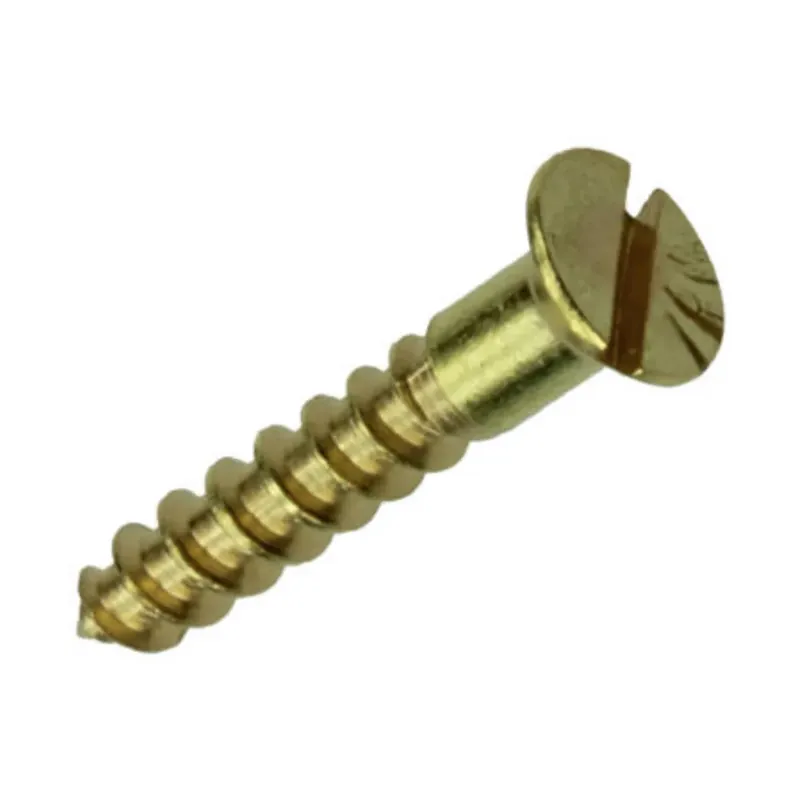 Mack Messing Houtschroef 11 stuks 2,5 x 16 mm Laatste Kans