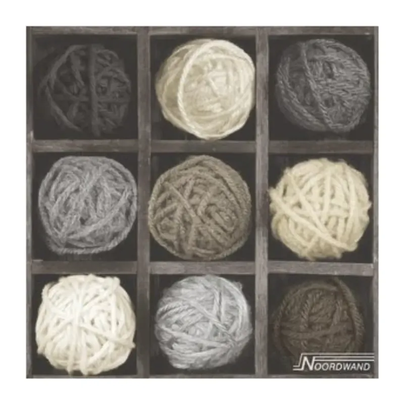 Noordwand Topchic Vliesbehang Bolletjes Wol 68623 Korting