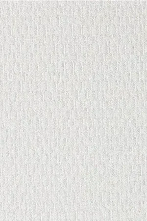 Laatste Kans Dutch Glasweefselbehang Fijne Ruit Voorgesausd 25m2