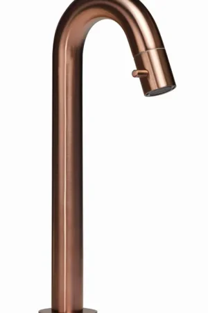 Actieprijs Blue Label Viby fonteinkraan hoog model geborsteld brons FK-0327-BR