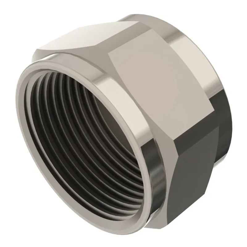 Rechtstreeks Van De Fabrikant Raminex RAM gaswarteldop met rubber afdichtingsring M24 t.b.v. gasaansluitkraan messing 700023