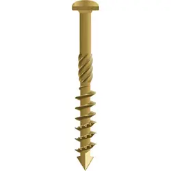 Beste Prijs Dynaplus gevelschroeven cilinderkop gecoat 4x40mm TX15