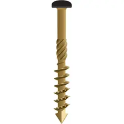 Rechtstreeks Van De Fabrikant Dynaplus gevelschroeven cilinderkop gecoat 4x60mm TX15 zwarte kop