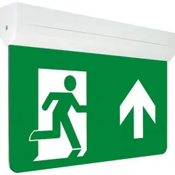 Flitsaanbieding Integral LED Multi-Fit nooduitgangbord 1W 60lm 6000K continu