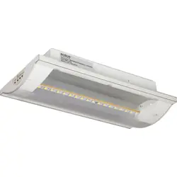 Robus LED Nooduitganglamp (R8MUSTLED) 4.5W Speciale Aanbieding