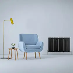 Lage Kosten Design radiator Zwart 600x910mm