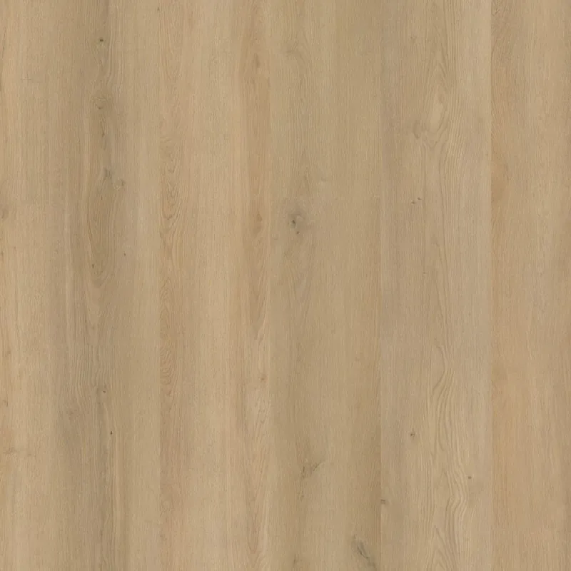 Direct Beschikbaar Greenwich dryback beige