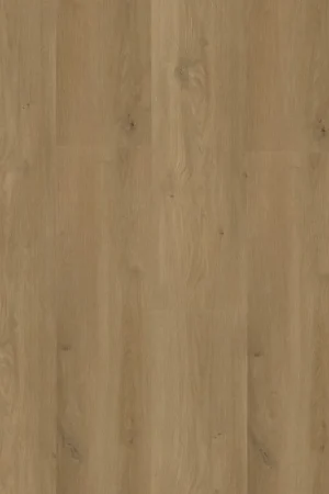 Alleen Vandaag Greenwich dryback dark oak