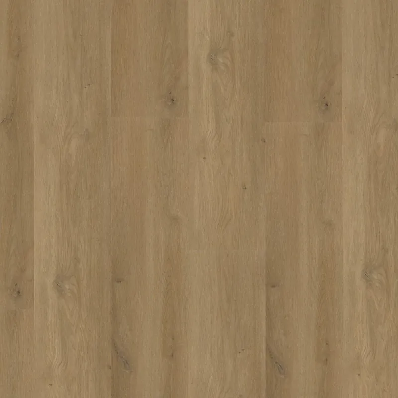 Alleen Vandaag Greenwich dryback dark oak
