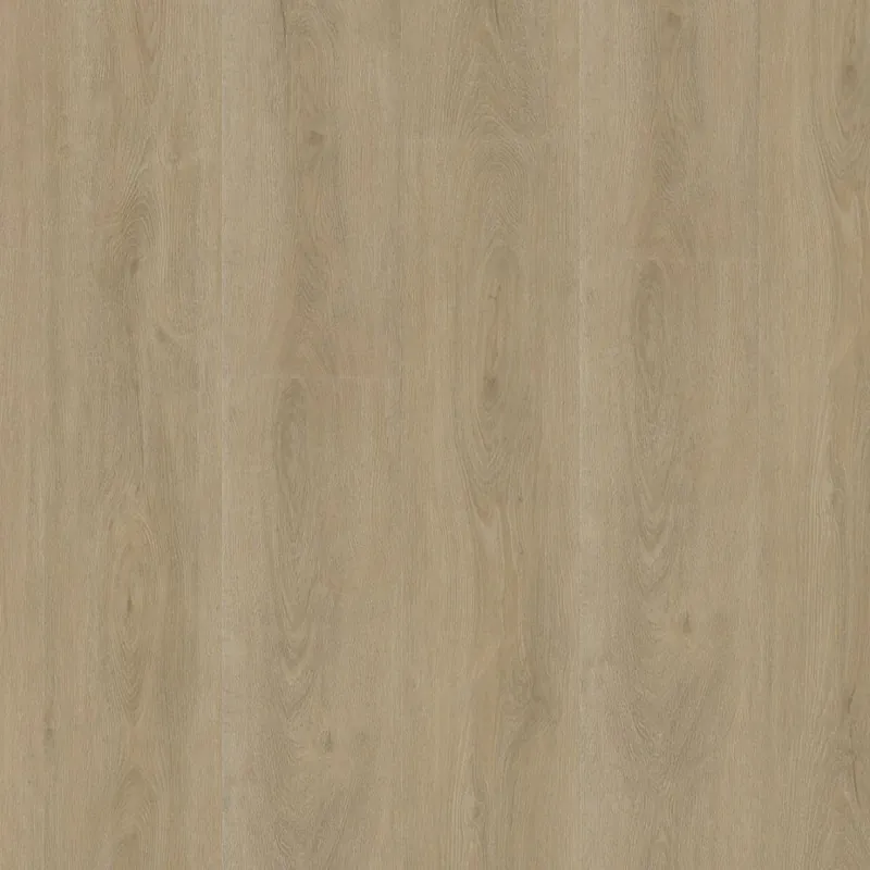 Express Levering Parramatta dryback beige