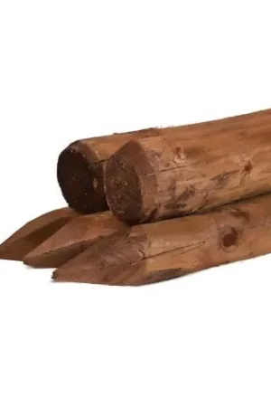 Exclusieve Aanbieding Ronde paal vuren bruin geïmpregneerd geschild kop Ø9 cm