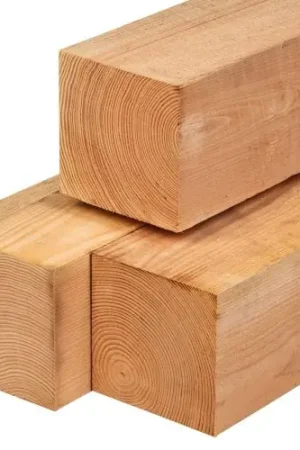 Beste Prijs Tuinpaal douglas bezaagd 20 x 20 x 600 cm