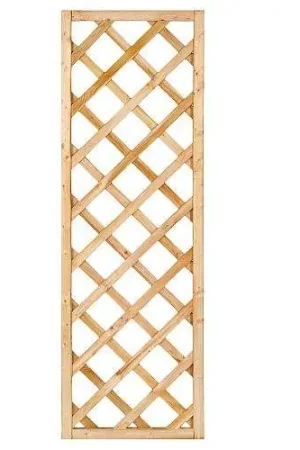 Actieprijs Trellis diagonaal met rechte lijst geïmpregneerd 180 x 60 cm