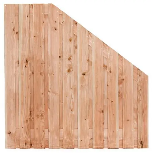 Must-Have Tuinscherm Zwarte Woud douglas 180 > 90 x 180 cm recht