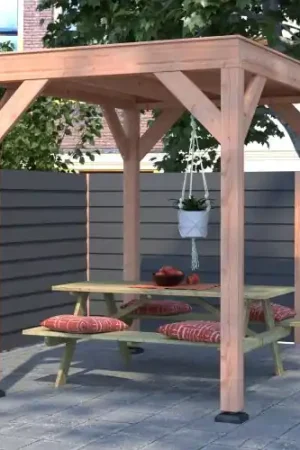 Douglas overkapping geschaafd 200 x 250 cm Gratis Retour