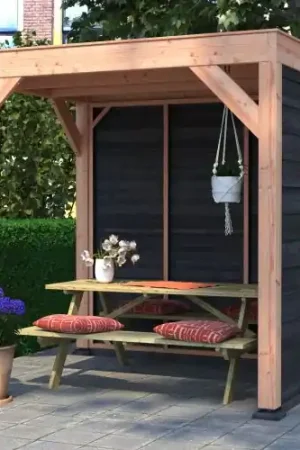 Douglas overkapping geschaafd 200 x 250 cm zwarte wanden Bestseller