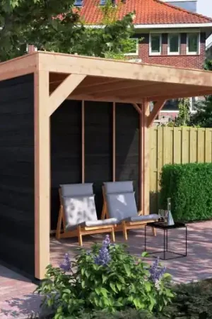 Douglas overkapping geschaafd 350 x 250 cm zwarte wanden Express Levering