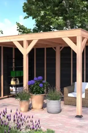 Gereduceerde Prijs Douglas overkapping geschaafd 400 x 250 cm zwarte wanden